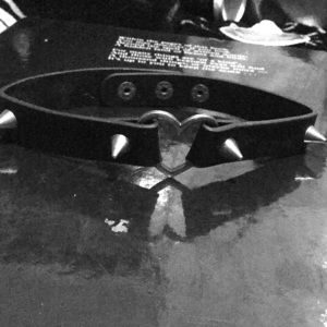 Heart and stud choker